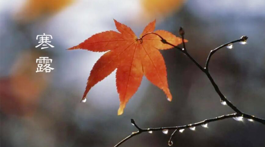 寒露時節(jié)！金環(huán)電器提醒大家要注意的事項