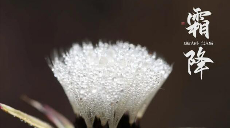 霜降時節(jié)！金環(huán)電器提醒大家要注意的事項