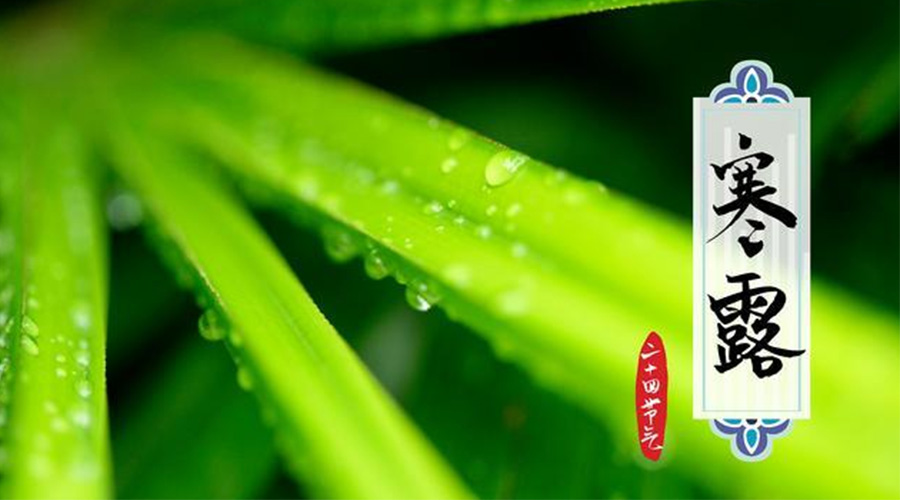 寒露時節(jié)到！金環(huán)電器提醒這些干衣事項要注意