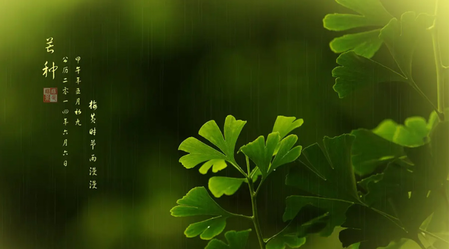 芒種時(shí)節(jié)！金環(huán)電器提醒大家的注意事項(xiàng)