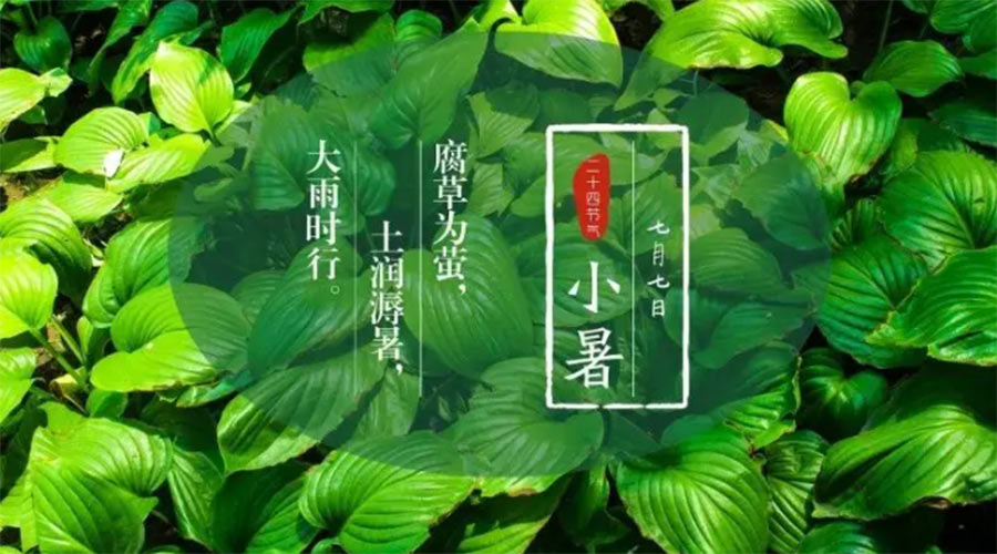 小暑時節(jié)來到！金環(huán)電器提醒大家要注意的事項
