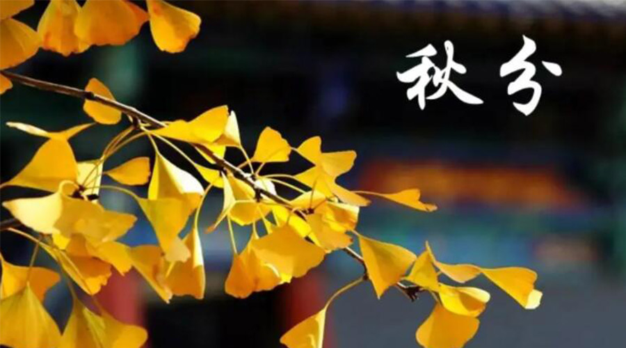 秋分時(shí)節(jié)！金環(huán)電器提醒大家要注意的事項(xiàng)