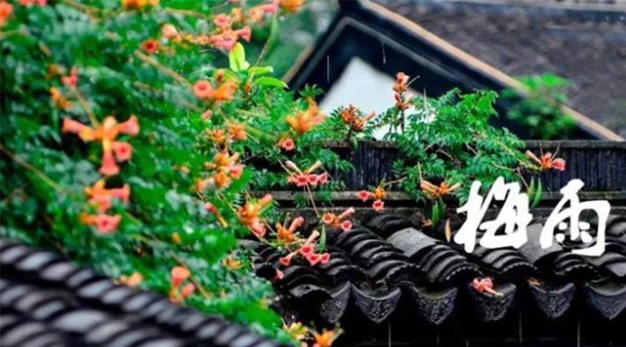 什么是梅雨？梅雨如何形成？  金環(huán)電器告訴你答案